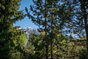 Northstar 3 by Outpost Whistler