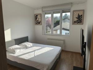 Les Volets Bleus -10min Disneyland Paris - 2 BR - View on river Marne