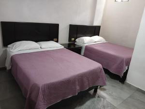 La Terraza-Habitación 1