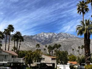 Mesquite