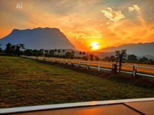 Western View Chiangdao Camping