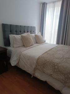 Apart hotel Santiago centro