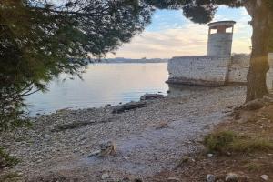 Apartments by the sea Pula - 26921