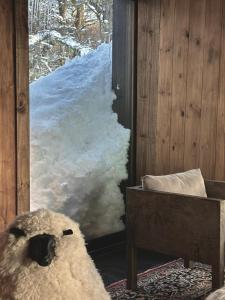 Chalet La Madelona