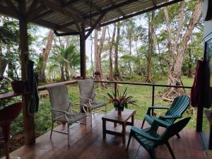 Gayadelphie jungle and sea house