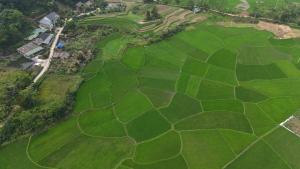Tay Na Bon Homestay & Travel
