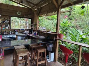 Gayadelphie jungle and sea house