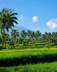 Bale Bangket Homestay