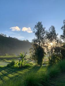 Batur Jemsokin Logement