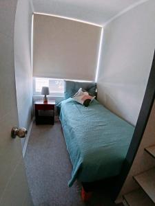 Llaima309