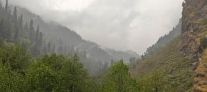 Alooma Valley View Stays
