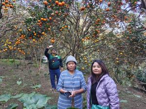 Sukhim Farmstay