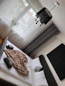 Domus Apartment