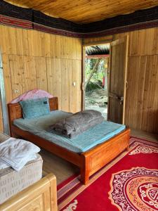 Tasua Homestay Hmong