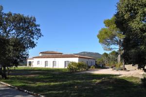 Villas Villa 342 m2 classee 4 etoiles sur 1 ha - Provence : photos des chambres