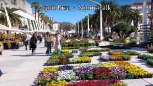 Studio Apt Orchard on Rokova St - 5 min Walk to the Old Town of Split