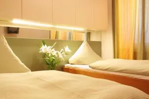 瑟里泰尔酒店 - Velká Bystřice