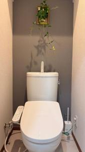 Japanese Tatami Stay 3 Beds Zen Style