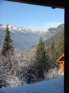 Chalets Chalet Clementine : photos des chambres