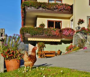 Pension Spreitzhof & Appartement Royer