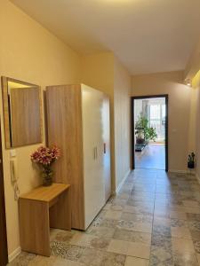 Sunny Gym Studio Apartment