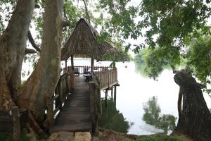 Aji fruit farm cottage peaceful lakeside farm stay with sunrise views 03