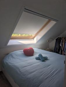 Stylish Sunlit Home