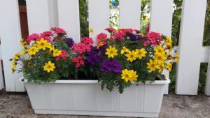 Garten Oase