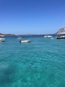 Villini vista mare con piscina by BudoniAffitti