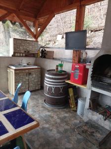 Casa Slanic House