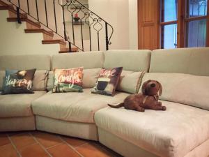 Casa Rural El Riberer