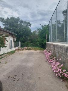 Yiayias Cottage