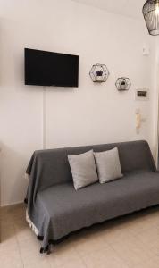 University Apartment