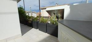 Da Monnedda img31