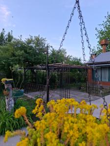 House Ianeti