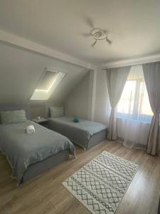 Wonderful Apartments & Rooms