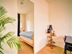 Spacious apartment with terrace, view
