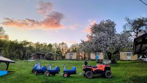 Camping Poiana Stelelor