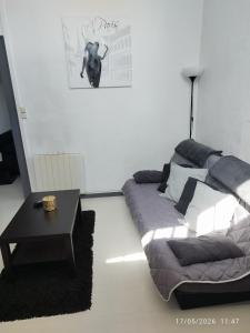 Charmant T3 au Cœur de Grenoble