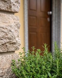 Locazione Turistica Serra&Walz