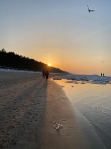 Apartament Family z basenem - Baltic Sun Sztutowo