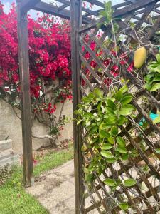 B&B Villa Valeria