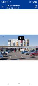 Antonia 2