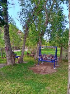 Wadi Vibes Camp