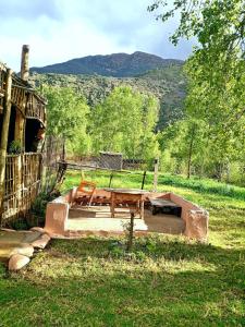 Wadi Vibes Camp