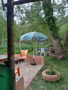 Wadi Vibes Camp
