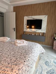 Cems Luxury Apartment