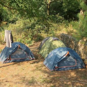 Tent for 2