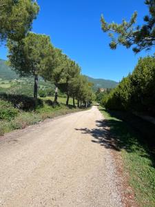 Podere Santamargherita