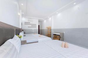 Sói Homestay B10 HQL
